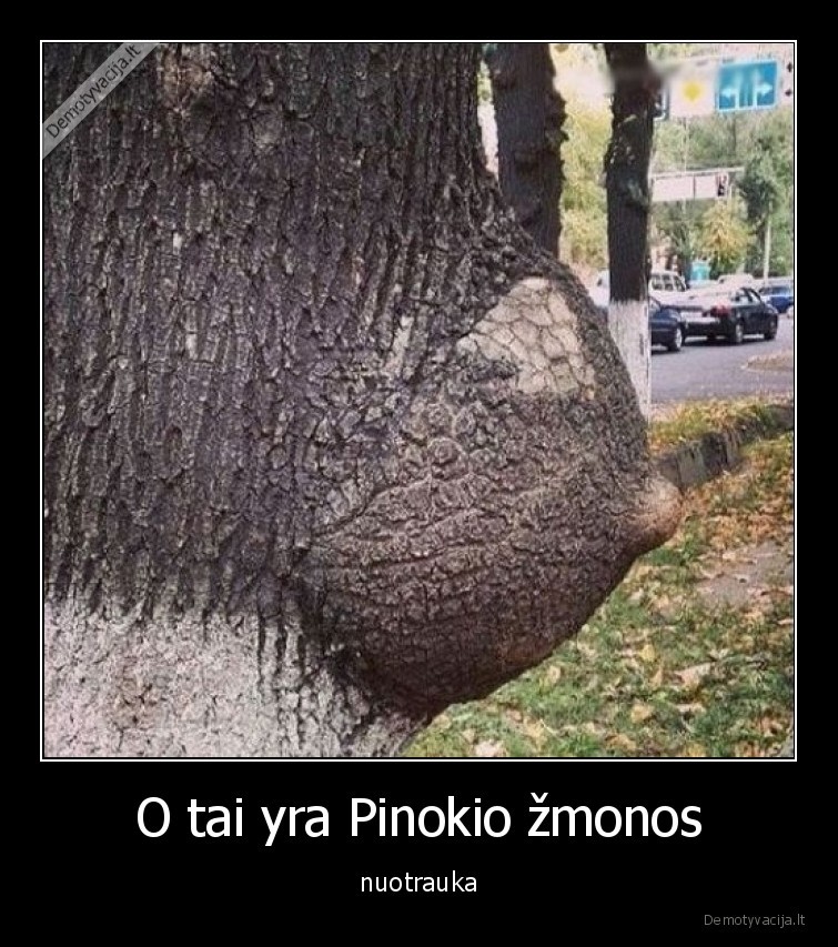 zmona,pinokis,mediena,papas