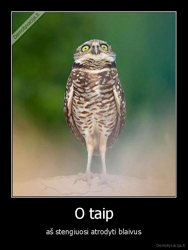 girtas,pergeriau,peleda