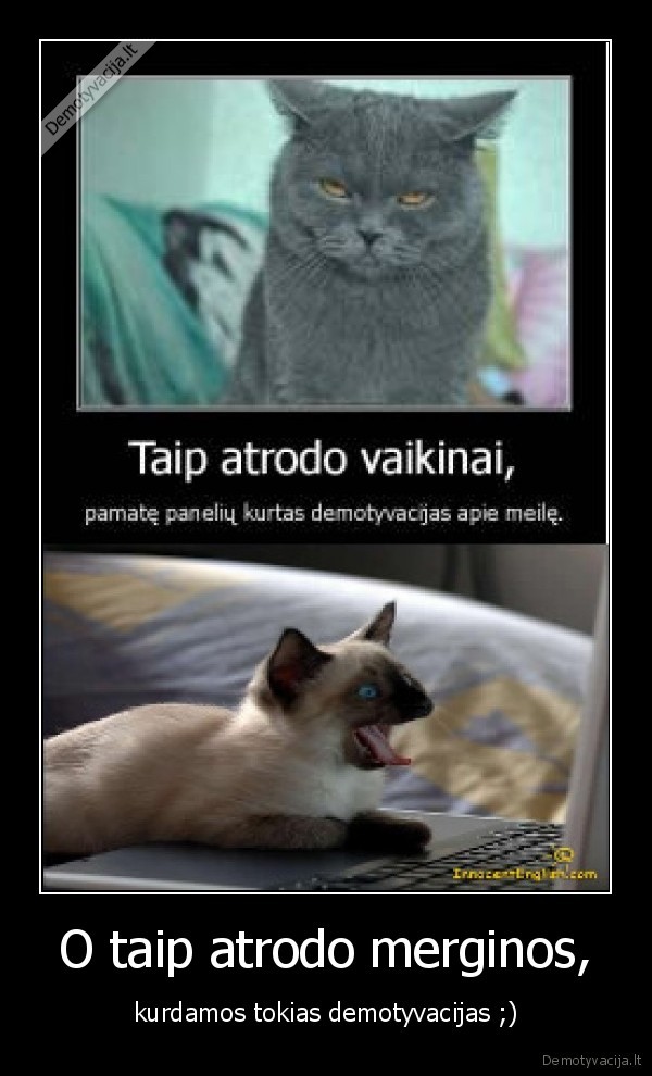 O taip atrodo merginos,