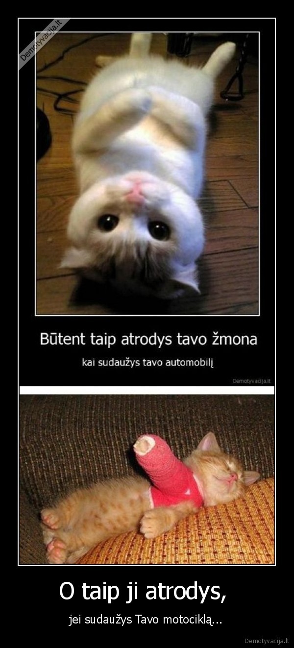 motociklas,avarija,miela,kaciukas,automobilis, auto