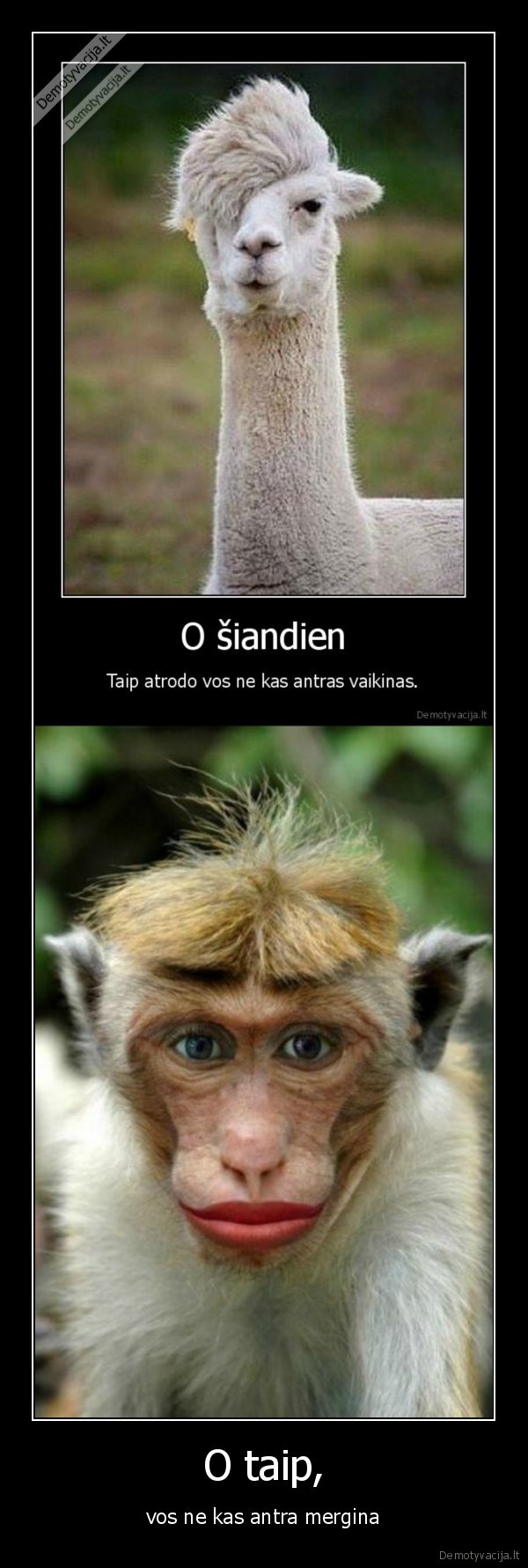 merginos,vaikinai,makiazas,sukuosenos