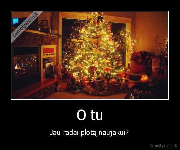 naujieji, metai,sventes,ziema,plotas