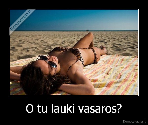 jau, ant, nosies, galiuko, vasara