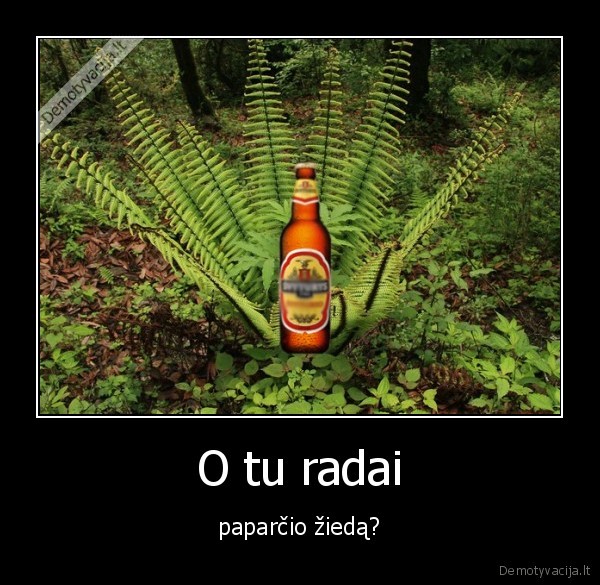 jonines,papartis,ziedai