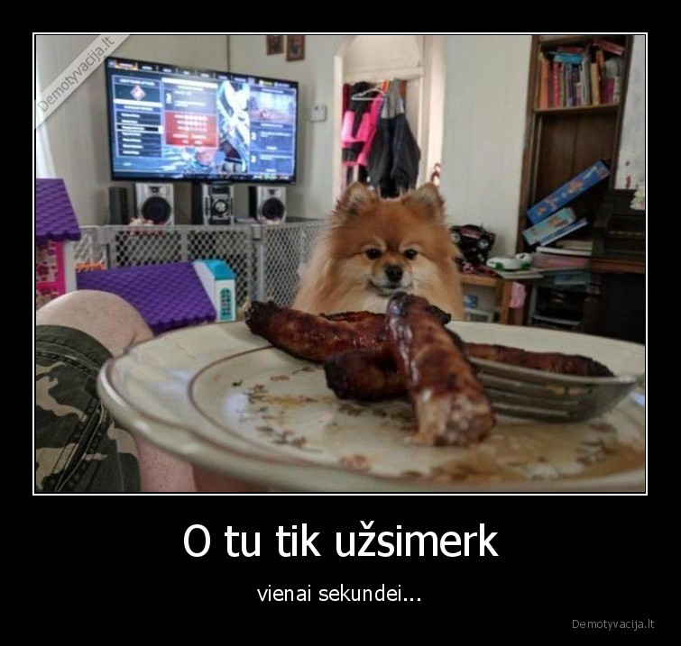 suo,maistas,uzsimerk