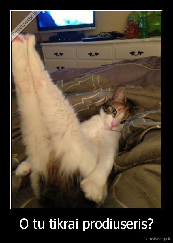 O tu tikrai prodiuseris?