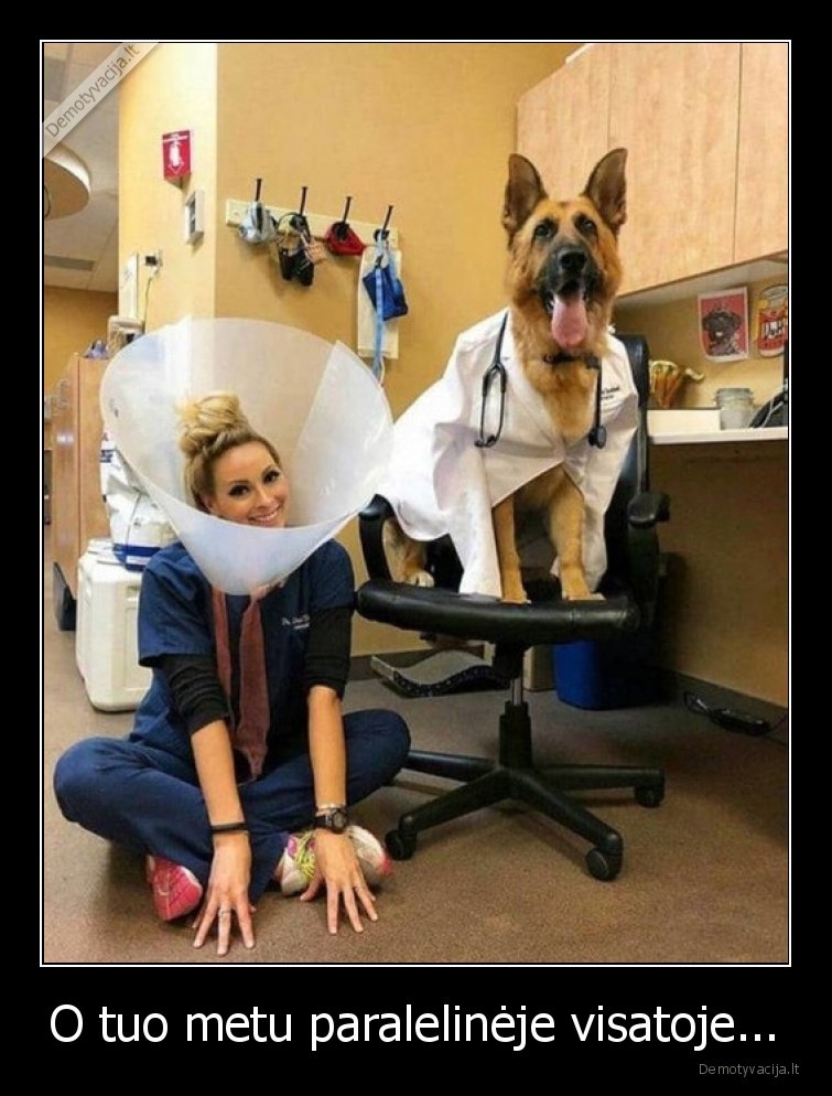 paraleline,visata,suo,veterinaras