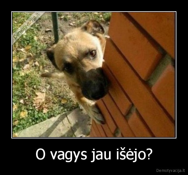 suo,apsauginis,vagys