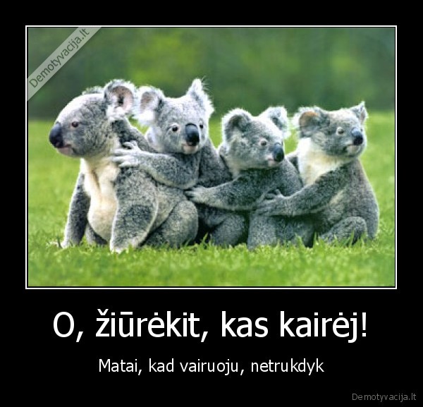 tevu, tipine, fraze,vazuojam, aborigenu, aplankyt,seima,koala,australija