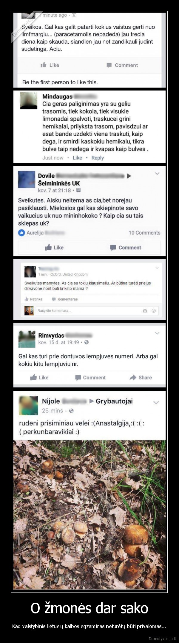 berasciai,facebook, statusai