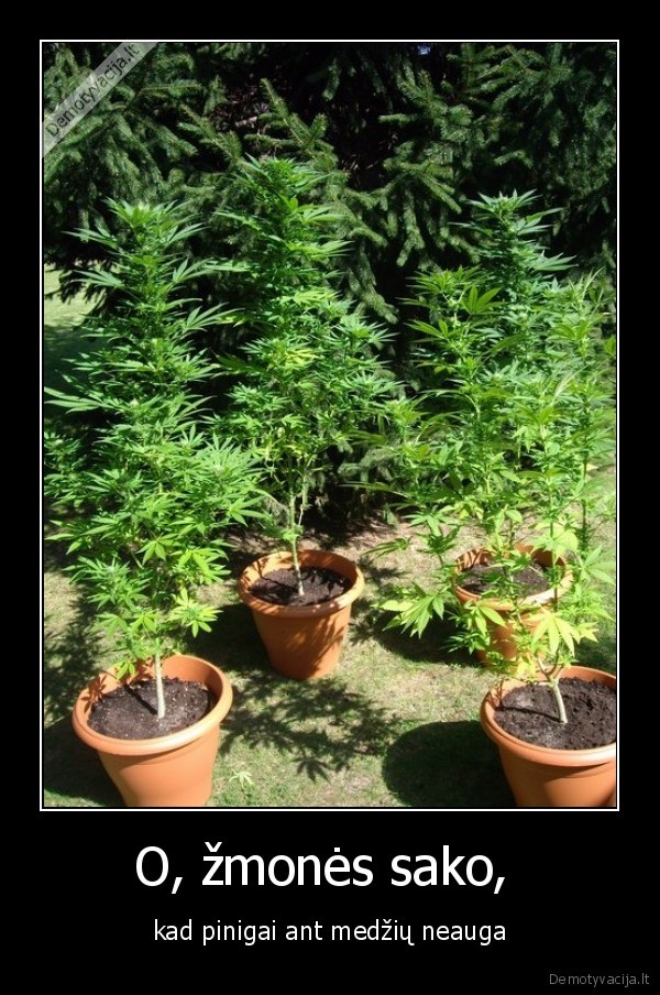 vaikai, bl, nebandykit, dievu, maisto