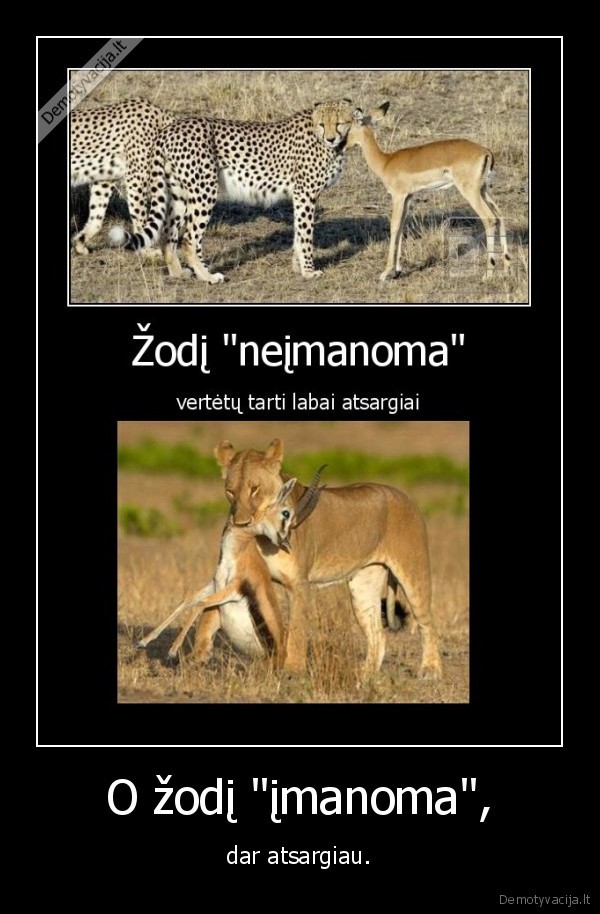 O žodį &quot;įmanoma&quot;,