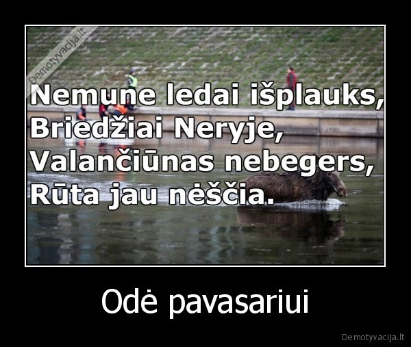 briedis, neryje,neris,briedis, vilniuje