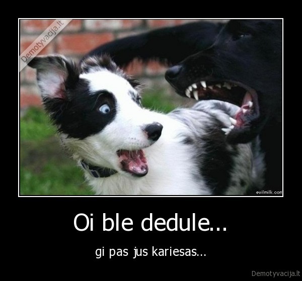 ble,dedule,kariasas,sunys,suva,suo,nasrai,issiziojes, suo