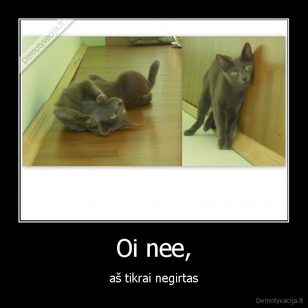 o, man, pohu, as, negeriau