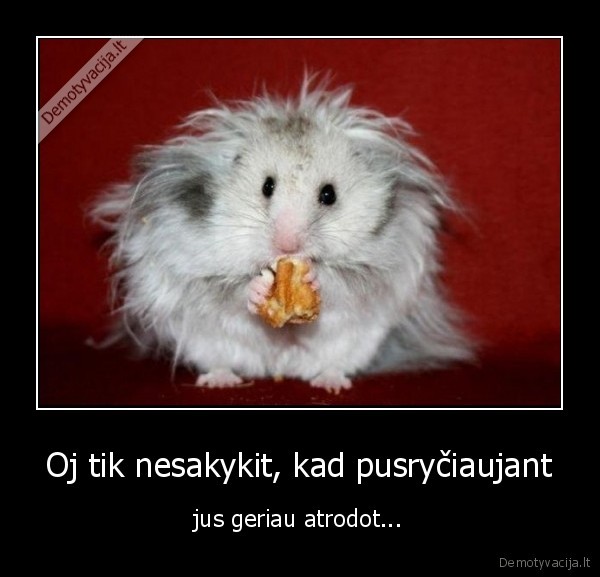 Oj tik nesakykit, kad pusryčiaujant