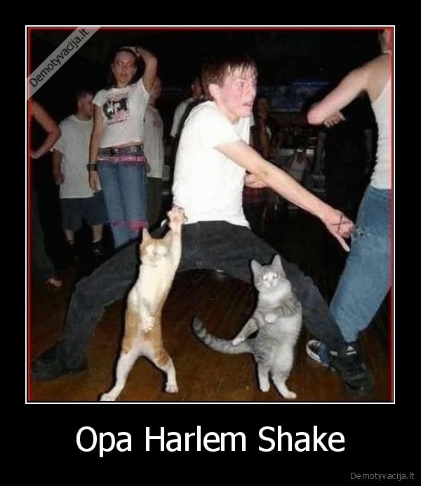 Opa Harlem Shake