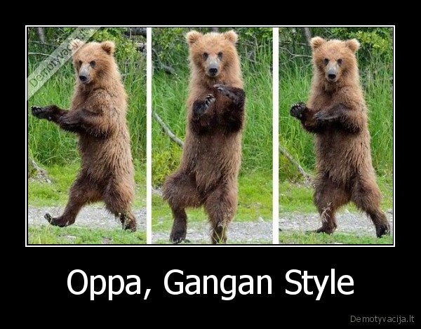 Oppa, Gangan Style