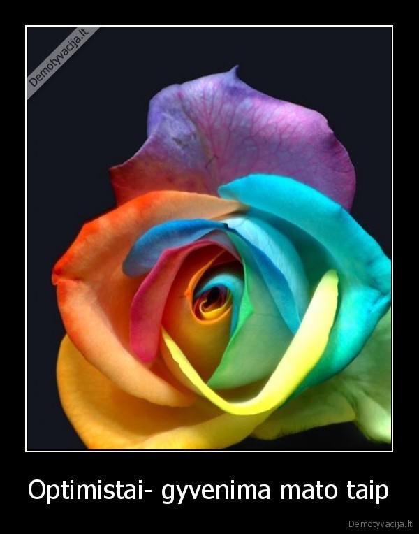 Optimistai- gyvenima mato taip