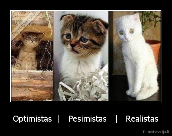 Optimistas  |   Pesimistas   |   Realistas