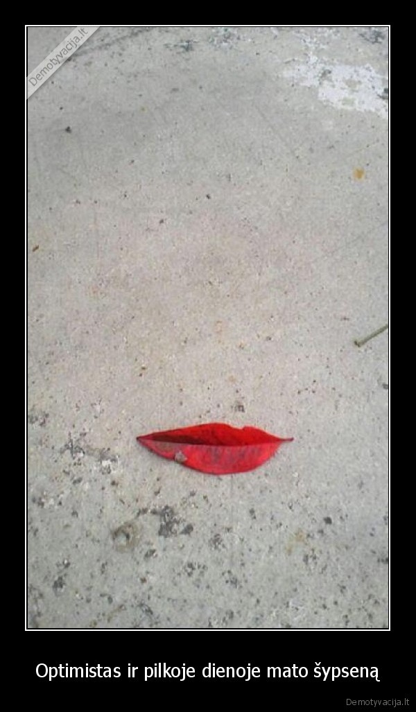 Optimistas ir pilkoje dienoje mato šypseną