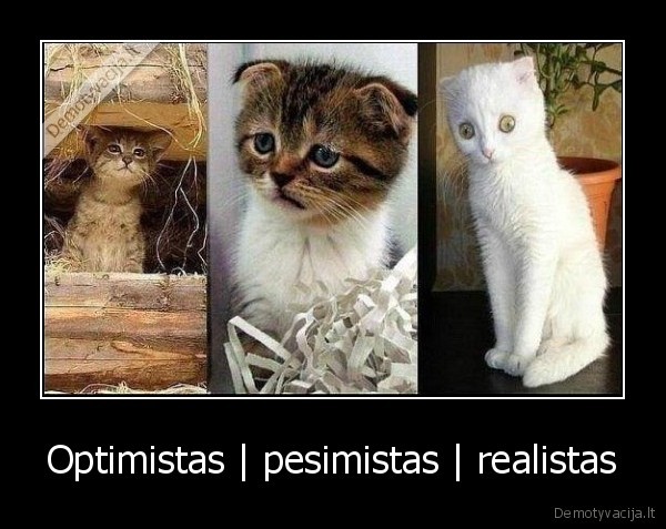 optimistas,realistas