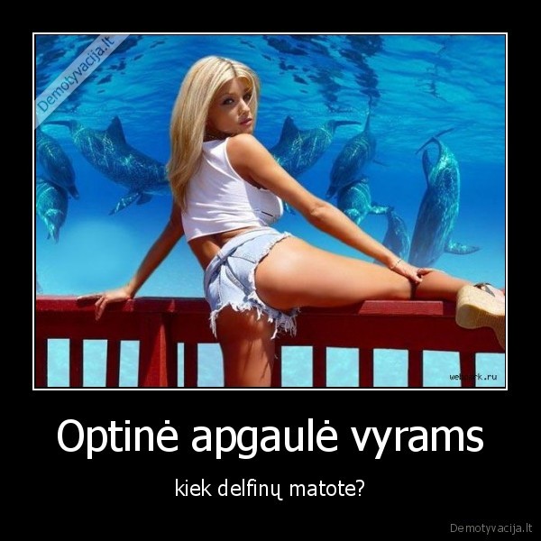 delfinai, seksuali, moteris, 9