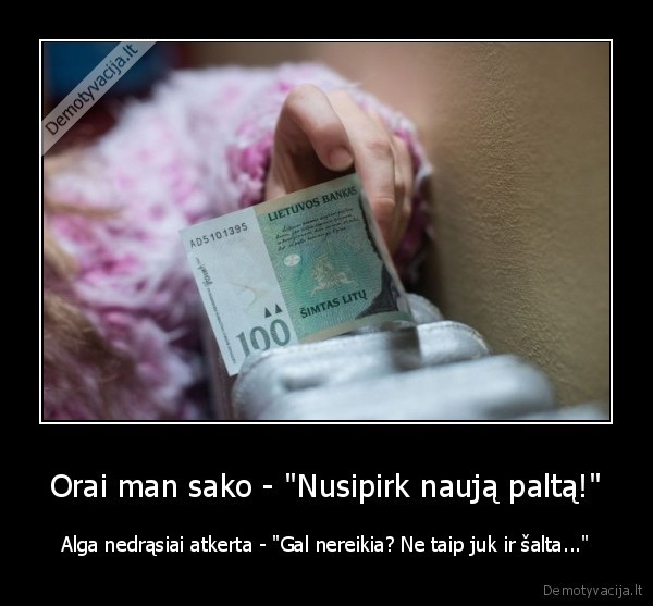 salti, orai,maza, alga,saltis