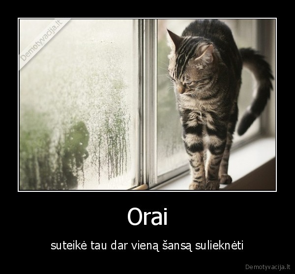 orai,suliekneti