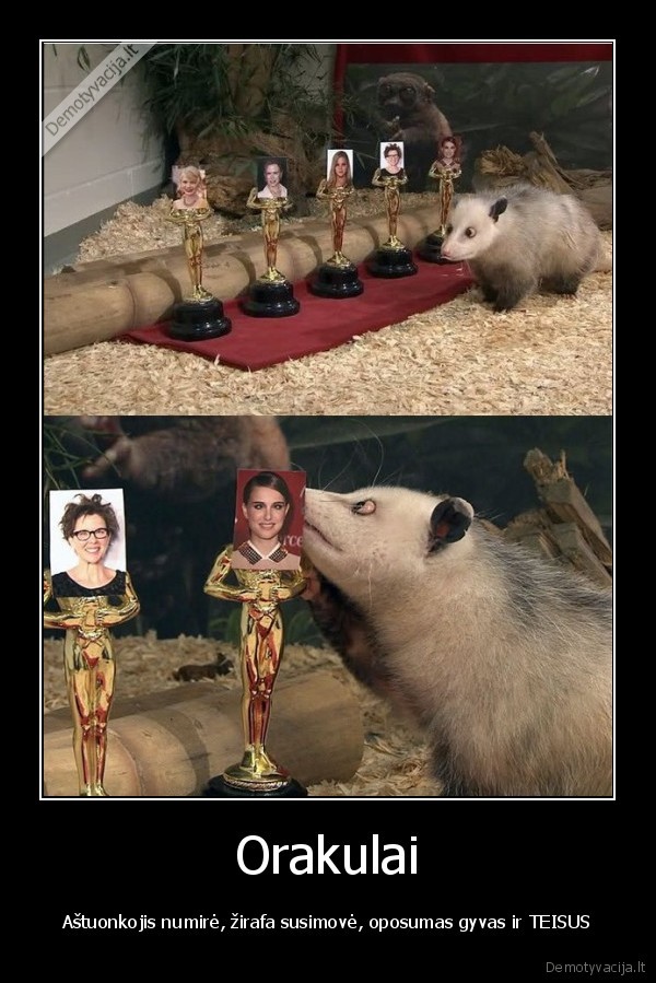 oskarai,zirafa,astuonkojis,natalie, portman