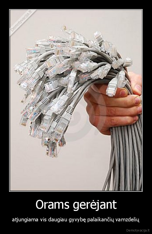 vasara,laidas,internetas,vamzdelis,palaikyti,atjungti