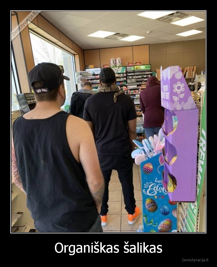 organiskas,salikas,gyvate