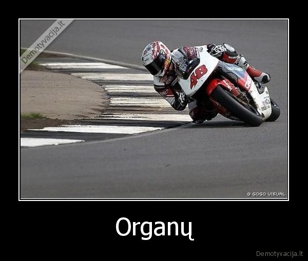 r1,minedas,sportas,moto