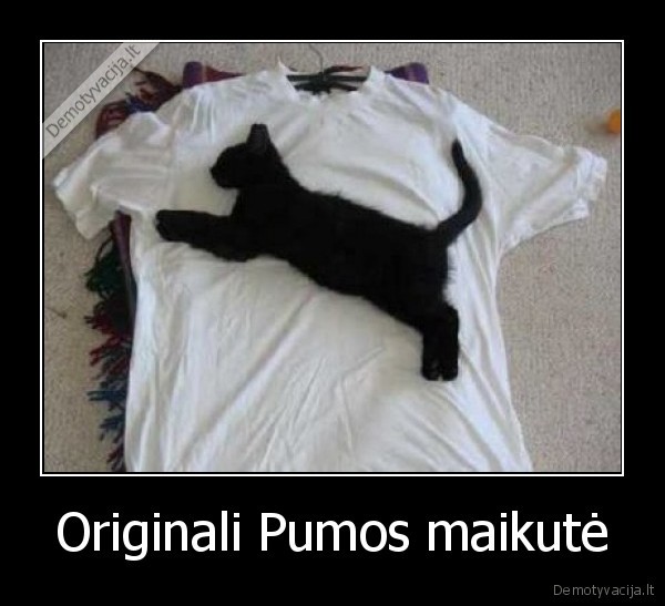Originali Pumos maikutė