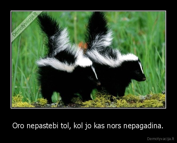 Oro nepastebi tol, kol jo kas nors nepagadina.