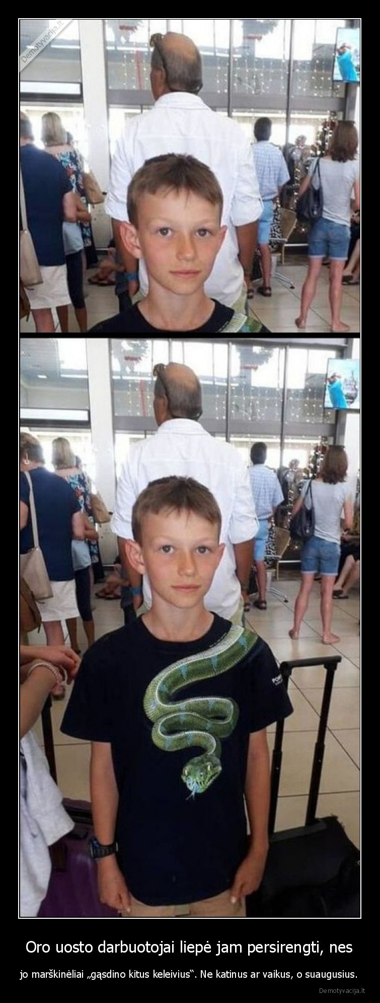 marskineliai,gyvate,gasdina,3d