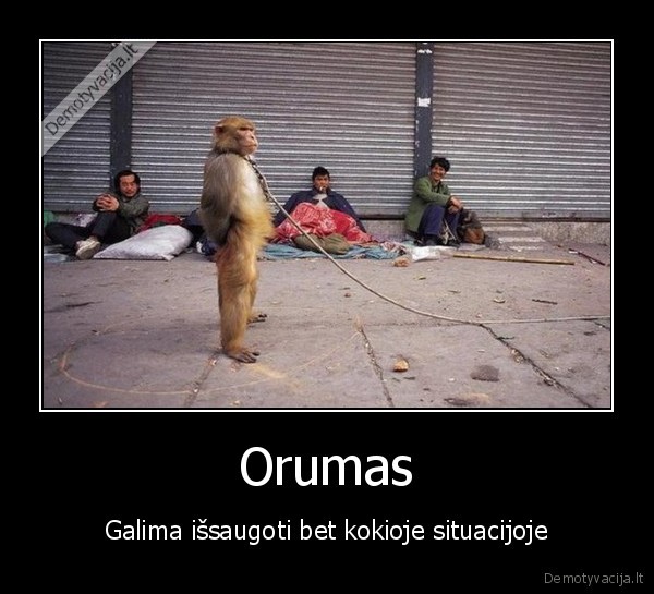 Orumas