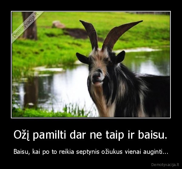 Ožį pamilti dar ne taip ir baisu.