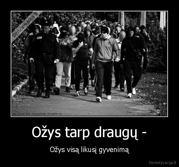 Ožys tarp draugų -