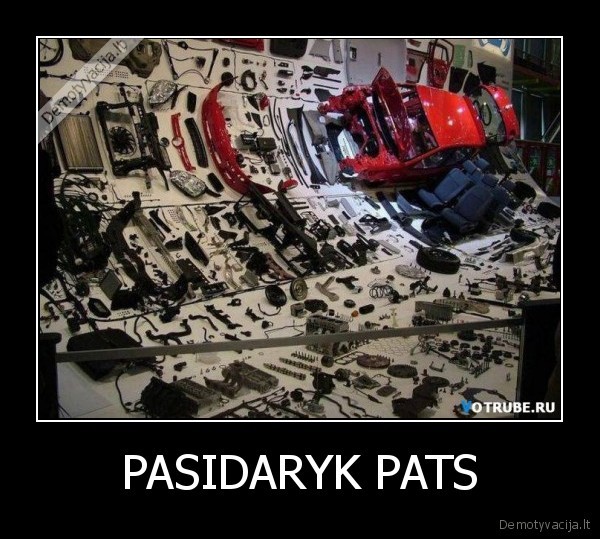 PASIDARYK PATS
