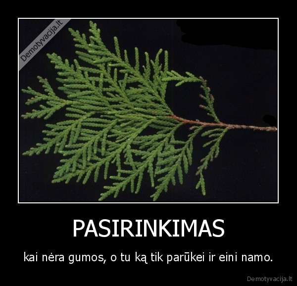 PASIRINKIMAS