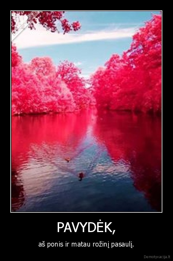 PAVYDĖK,
