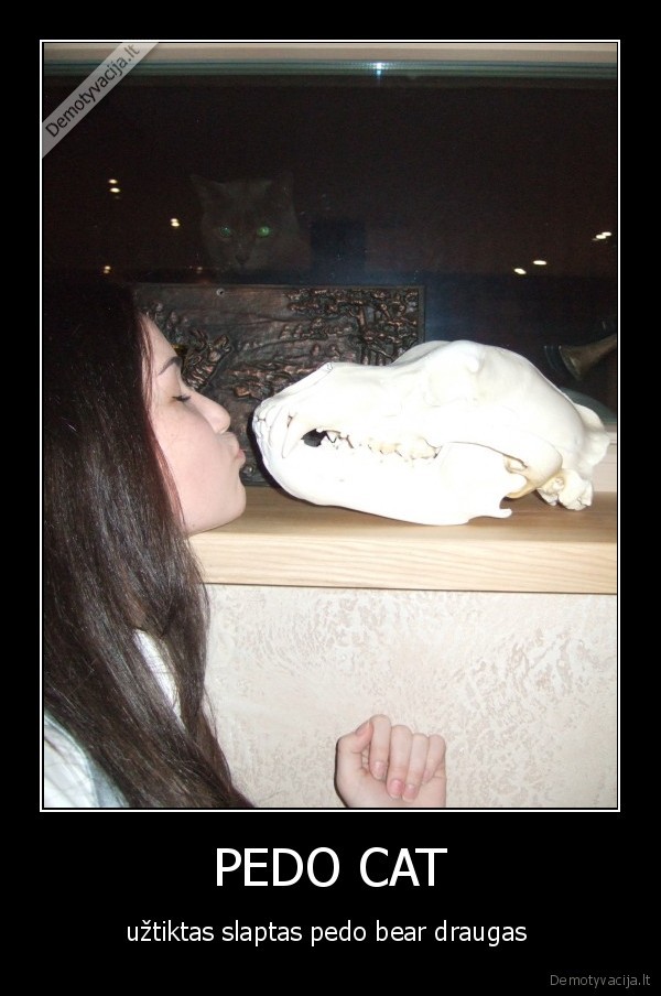 pedo, cat,pedo,mergaite