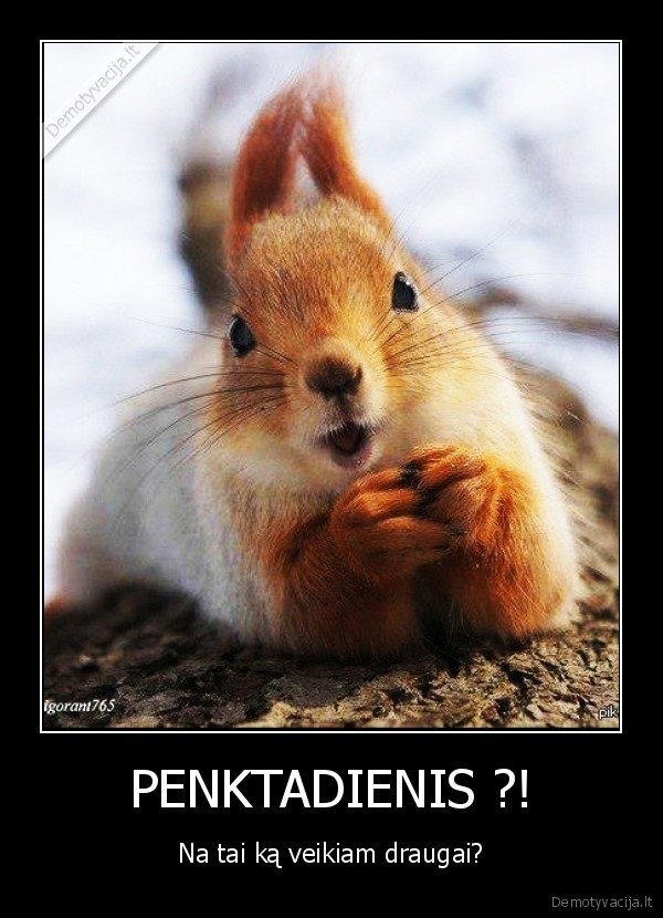 PENKTADIENIS ?!