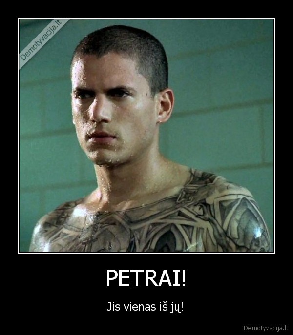 wentor,mike,scoffield,prisone, break,homo