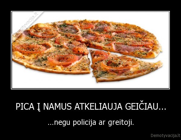 PICA Į NAMUS ATKELIAUJA GEIČIAU...