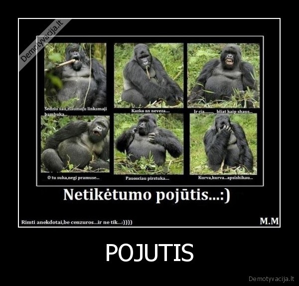 POJUTIS