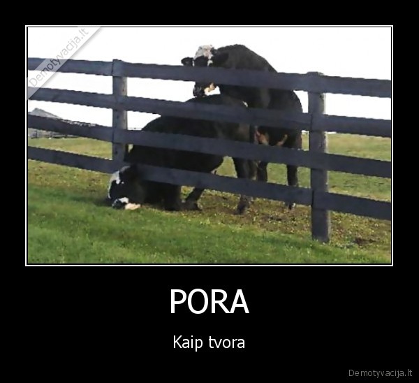 PORA