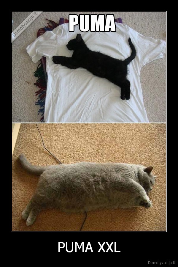 PUMA XXL