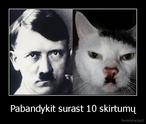 Pabandykit surast 10 skirtumų